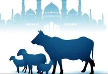 Mengenal Sejarah dan Makna Ibadah Kurban dalam Islam