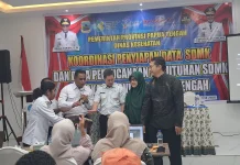 Efektivitas Program Kesehatan Nasional di Tengah Kebijakan Efisiensi Anggaran