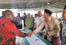 Pemprov Papua Tengah Salurkan 26 Sapi Kurban untuk Iduladha