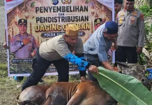 Kapolda Papua Tengah Bagikan Kurban ke Panti Asuhan dan Warga, Ajak Jaga Keamanan