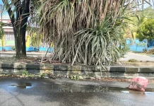 Pengendara Mengeluhkan Genangan Air di Jalan Merdeka Nabire