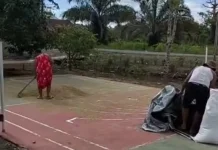 Petani Masih Menanam Padi di Kampung Topo Jaya Nabire