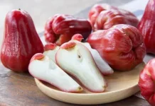 Macam-Macam Buah Jambu yang Populer di Indonesia, Kaya Rasa dan Manfaat