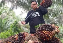Ekspor CPO dan Batu Bara Satu Pintu Dinilai Untungkan Petani