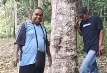 Petani Bahagia Pohon Durian Berbunga Lagi