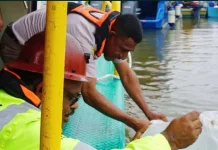 Karantina Papua Tengah Perkuat Konservasi Perairan Lewat Restocking Kakap Putih