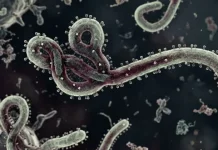 Eks Kepala CDC Ingatkan Dunia Tak Siap Hadapi Pandemi Baru