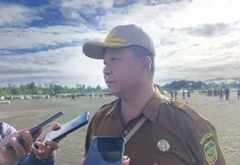 Mimika Masih Pertahankan Guru Honorer di tengah Penyesuaian PPPK