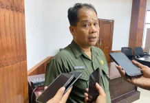 Diskominfo Mimika Optimalkan Pemantauan Kota Melalui 51 CCTV