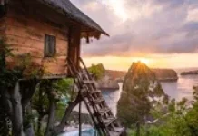 Tips Membuat Rumah Pohon  Mudah dan Ramah Lingkungan