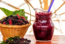 Segelas Jus Murbei, Pilihan Minuman Bernutrisi untuk Mendukung Fungsi Hati