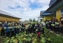 Dinas Pertanian Kabupaten Deiyai Upayakan Peningkatan Produksi Tanaman Pangan
