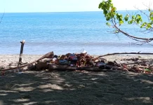 Gerakan Cinta Laut, DLH Nabire Ajak Warga Tidak Membuang Sampah Kelaut