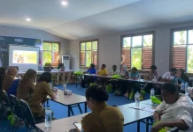 Papua Tengah Gandeng UNICEF Tingkatkan Mutu PAUD