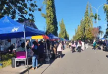 CFD Nabire Dorong Perkembangan UMKM, Pengunjung Harapkan Kegiatan Semakin Meriah