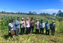 Gubernur Meki Ajak Warga Cintai Hasil Tani Lokal demi Ekonomi Papua Tengah