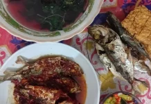 Menu Masakan Rumahan Sederhana yang Selalu Menggugah Selera