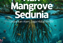Makna dan Tema Hari Mangrove Sedunia 26 Juli