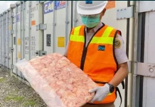 Jaga Keamanan Pangan, Karantina Papua Tengah Awasi Masuknya 34 Ton Daging Ayam Beku
