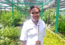 DLHKP Papua Tengah  Ajak Masyarakat  Menjaga Kelestarian Hutan