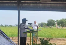 Bupati Nabire Apresiasi Dinas Ketahanan Pangan lewat Trobosan Positif
