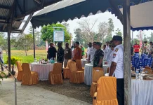 Panen Perdana Padi Biofortifit, Menjadi Pemicu Semangat Memperluas Area Tanam