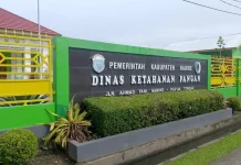 Dinas Ketahanan Pangan Nabire Lalukan Upaya Stabilisasi Pasokan dan Harga Pangan