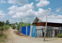 Warga Kalisemen Distrik Nabire Barat Keluhkan Tiang Listrik Kayu yang Mulai Rapuh
