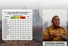 Sebaran Titik Hotspot di Papua Tengah Menurun, BPBDKP Sebut Nabire Tersisa 12 Titik