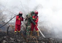 Hotspot Karhutla Menurun, Kemenhut Terus Perkuat Penanganan