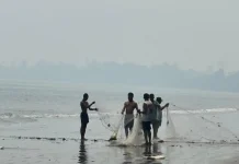 Kabut Asap Melanda, Apa yang Harus Dilakukan Masyarakat?