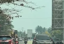 Kabut Asap dan Kualitas Udara, Kapan Masyarakat Perlu Waspada?