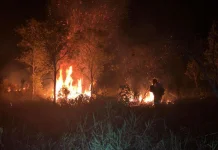 Karhutla Meluas, Ini yang Perlu Dipersiapkan Masyarakat Hadapi Asap