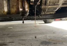 Penyebab Utama Oli Merembes pada Mesin Mobil