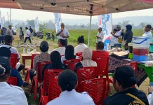 Dinas Pertanian Kabupaten Nabire Gelar Percepatan Penanaman Padi PM-AAS