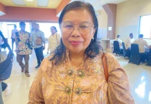 Menjelang HUT ke-30, Mimika Siapkan Perayaan Bertema Gerbang Emas.