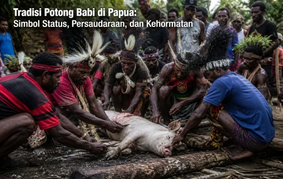 Tradisi Potong Babi di Papua: Simbol Status, Persaudaraan, dan Kehormatan