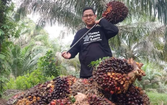 Produksi CPO Maret 2026 Turun, Ekspor Sawit Ikut Lesu