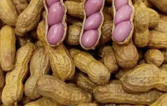 Kacang Rebus, Jajanan Legendaris yang Tetap Digemari Semua Kalangan