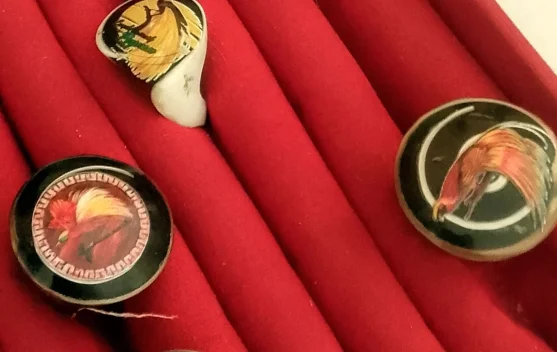 Kreativitas Beatrik Manggo Basik, Sulap Cangkang Siput Menjadi Kerajinan Tangan