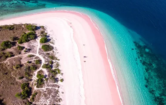 Pesona Pantai dengan Pasir Terunik di Indonesia, Keajaiban Alam yang Mendunia