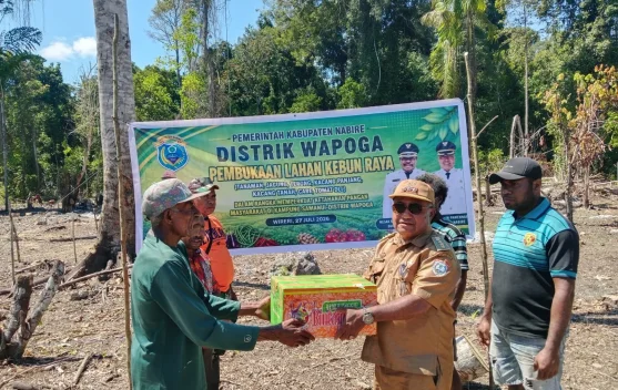 Pembukaan Lahan Kebun di Kampung Samanui Distrik Wapoga Nabire