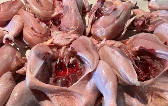 Harga Ayam Naik di 188 Daerah, BPS Beri Peringatan