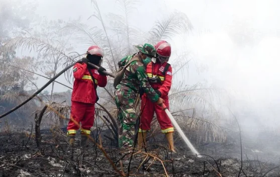 Hotspot Karhutla Menurun, Kemenhut Terus Perkuat Penanganan