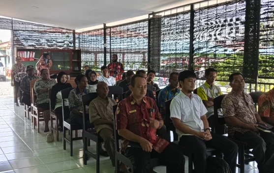 Pemkab Nabire Optimistis Produksi Padi Tahun 2026 Akan Meningkat Signifikan