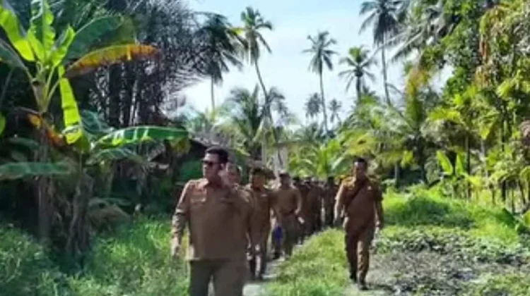 Bupati Nisel Tinjau Lokasi Pembukaan Badan Jalan Baru di Kecamatan Somambawa
