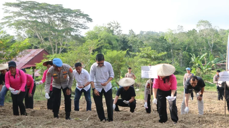 Polres Nisel Tanam Jagung Serentak Dukung Ketahanan Pangan