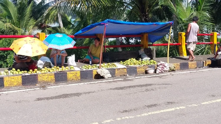 Warga Manfaatkan Musim Buah Mangga untuk Dapat Penghasilan Tambahan