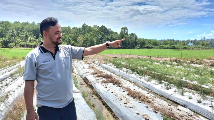 Pemerataan Pembangunan Jadi Prioritas Desa Idala Jaya
