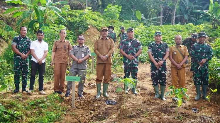 Wabup Nias Selatan Hadiri Penanaman Pohon Serentak